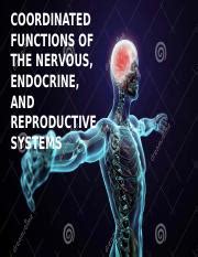 odd organ out|Coordinated Functions of the Nervous, Endocrine, and .